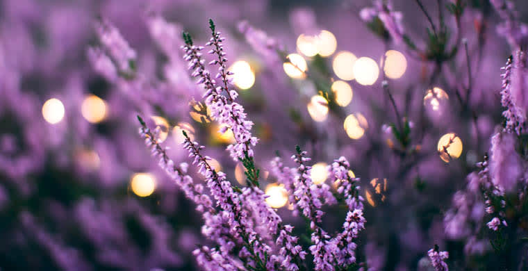 What Does a Memorial Service Entail? - Funeralocity